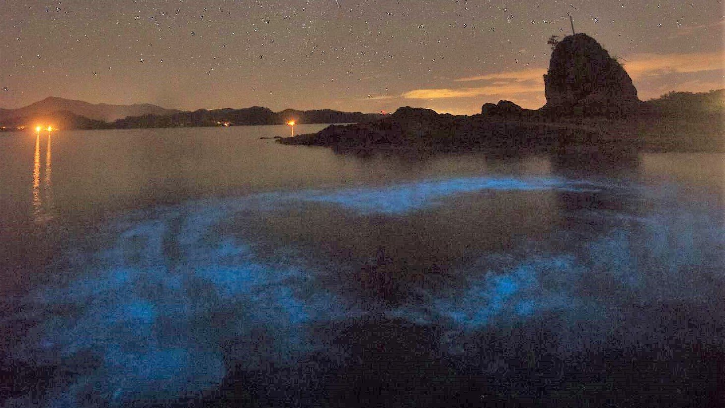 Bioluminescence Costa Rica