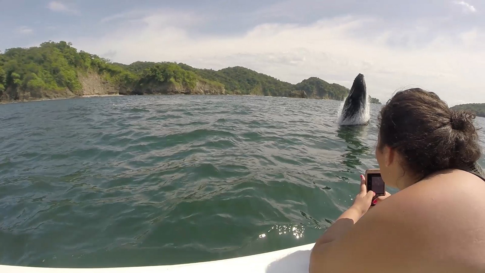 Whale watching