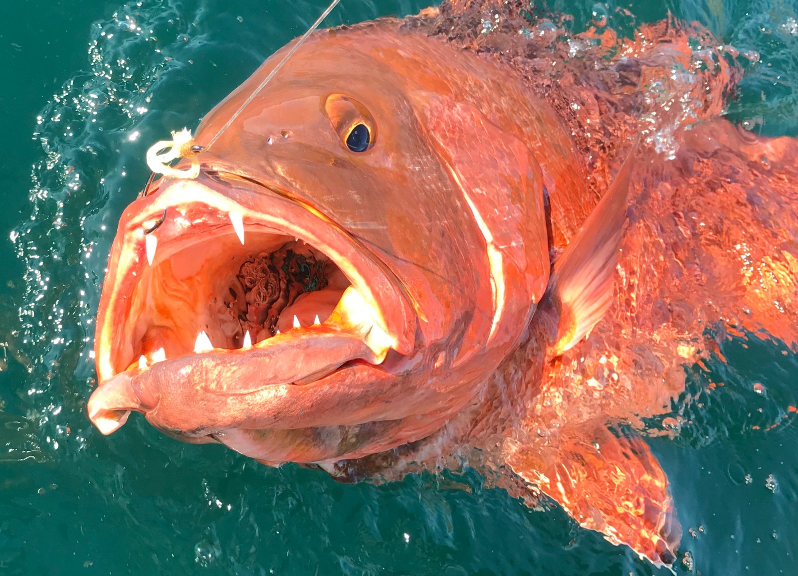Sport Fishing
