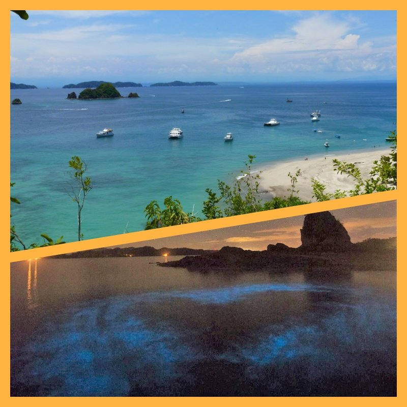 Isla Tortuga and Bioluminescence
