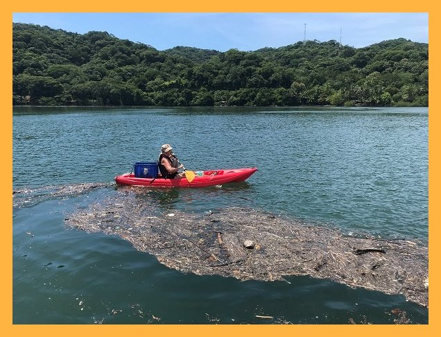 Kayak Ocean Clean Up